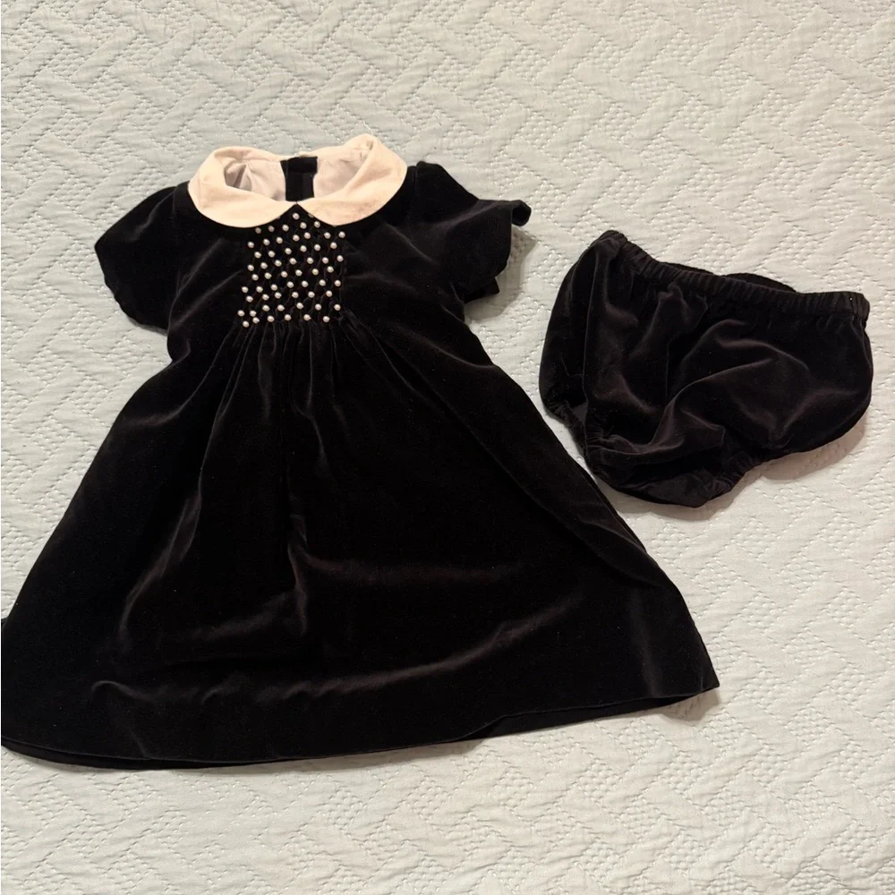 Edgehill Collection Black Velvet Dress - Picture 3 of 4